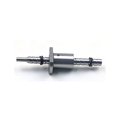 0601 Ball Screw with 53mm Length