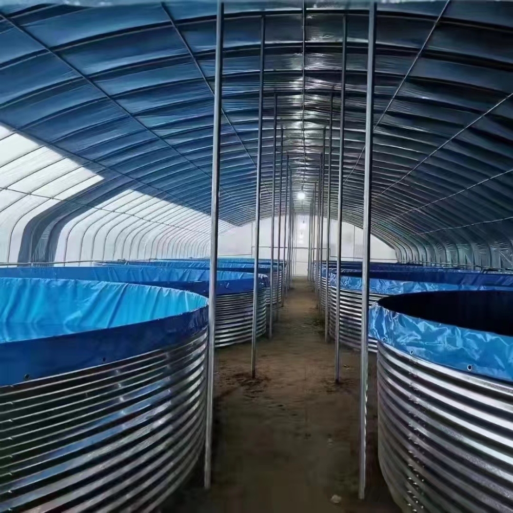 Single Greenhouse For Poultry Breeding Single Greenhouse For Poultry Breeding