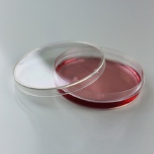 60 mm Plastic Petri Dish