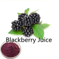 BlackBerry Juice Powder Factory Low Prix en gros