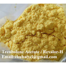 99.9% Trenbolone Cyclohexylmethylcarbonate / Parabolan CAS 23454-33-3 Steroid Powder