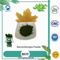 Hot!Nannochloropsis Powder Nannochloropsis Salina Powder