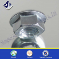 China Supplier High Strength Zinc Plated Hex Flange Nut