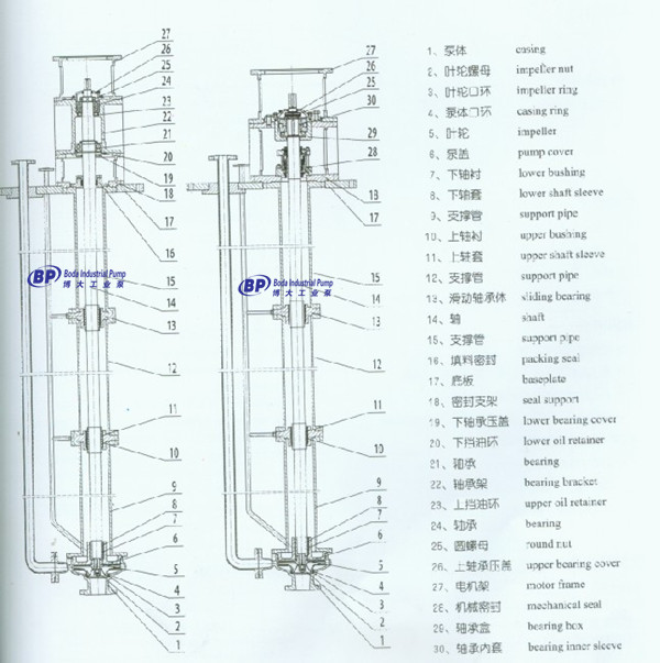 SCCY STRUCTURE