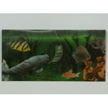 Novedad hermosa billetera plástico Lenticular 3D