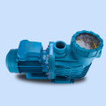 Filter Circulation Pump Electric Swimming Pool Water Pump