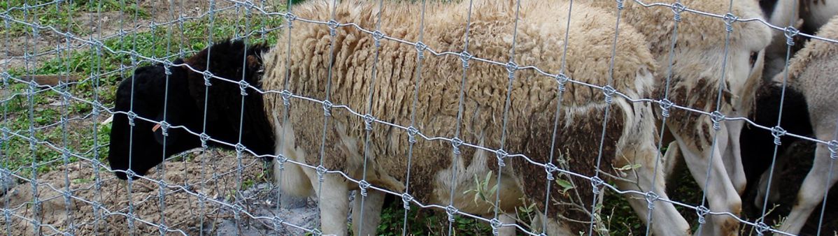 farm fence