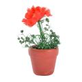 Dolls House Miniature Resin Garden FlowerPot with Flower