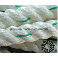 Corda de nylon de 3 cordas