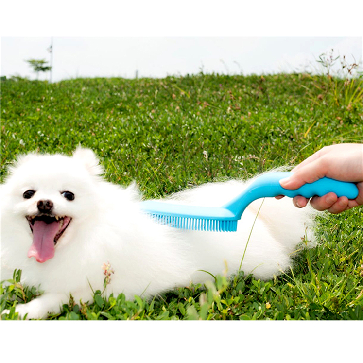 pet brush (1)