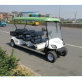 High quality fancy golf cars para la venta