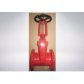 Rubber Encapsulated Wedge Gate Valve