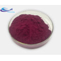 Wholesale Price Purple Carrot Juice Powder