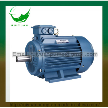 Ce Approved Three Phase Cast Iron Asynchronous Electric Motor for Industrial