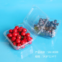 Biodegradierbarer ökologischer Plastikfrischer Frucht-Plastikbehälter mit Aufkleber