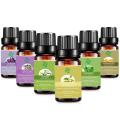 Óleo de clary sage para cuidados de saúde