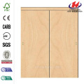 MDF Automatic Door Operator Interior Double Kitchen Swing Door