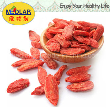 Mispel Großhandel chinesische Wolfberry Goji Beere