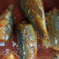 Консервированная рыба скумбрия в томатном соусе острый перец чили