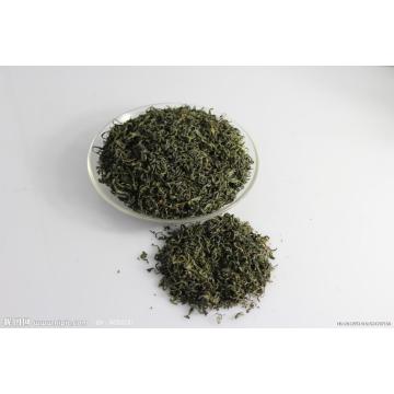 EGCG Extract in Green Tea 10~99% HPLC