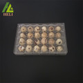 24 Cells Plastic Coturnix Eggs PVC Container