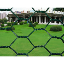 High Quality Hexagonal Wire Netting