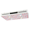 COB 2000w LED Grow Light Hidropônico