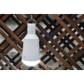 Light Bulb LED USB