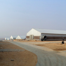 Prefab Poultry Sheds and Full Set Equipment for One Stop Service