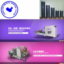 Electric Heating Film Roll-to-Roll Automatic Slik Screen Printing Machines