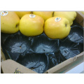China Productor profesional SGS, embalaje estándar de la ampolla de la fruta del FDA hecho de los PP para el protector, exhibición en supermercado