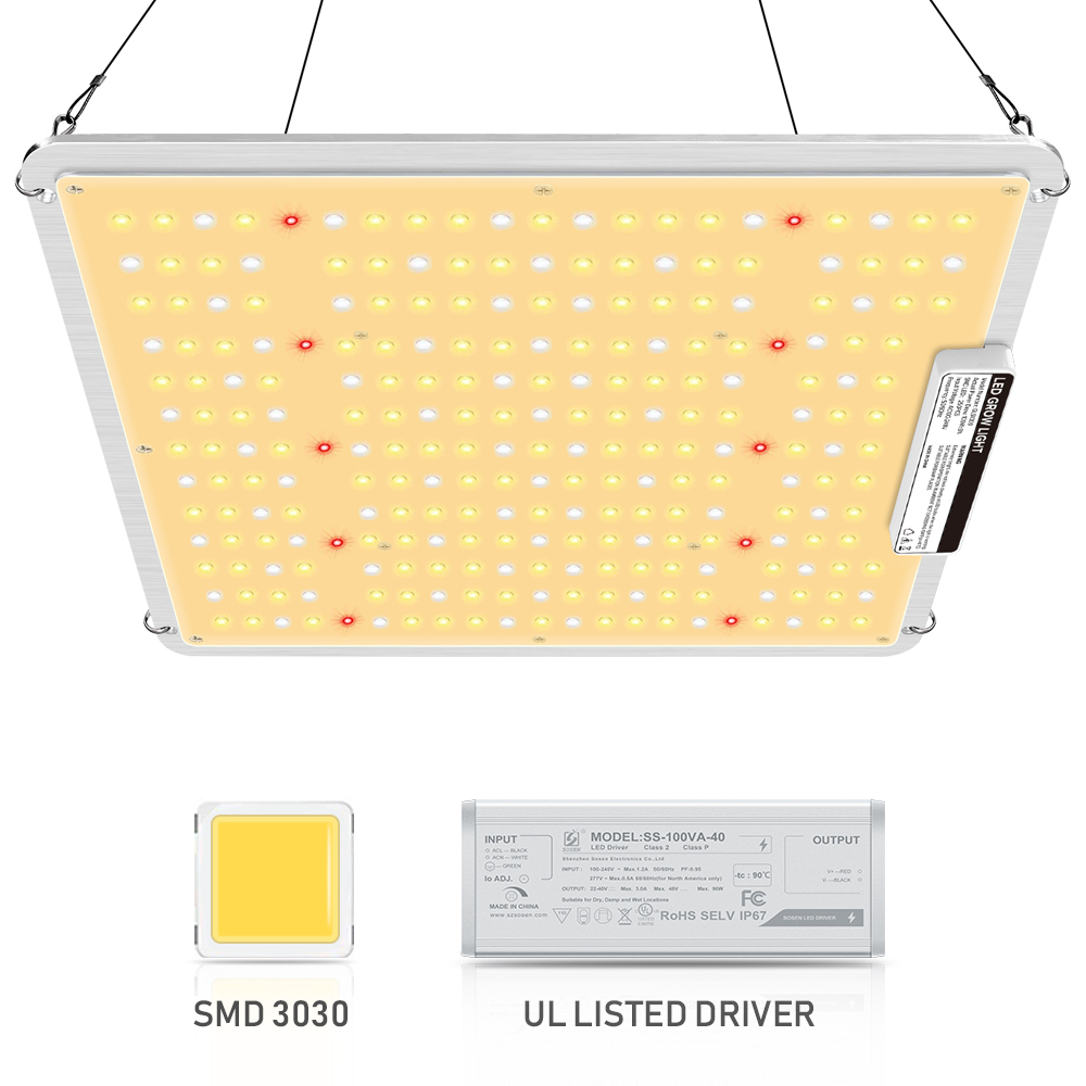 Led Light Bulbs