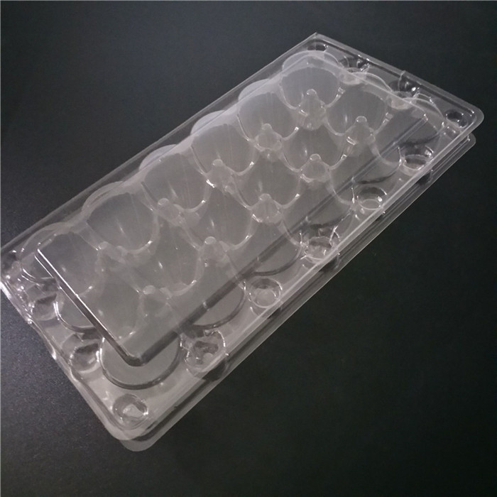 Plastic Clear Quail Eggs Tray