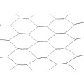 Hot Dipped Galvanized Hexagonal Netting