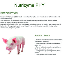 Heat resistant phytase for feed