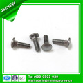 Stainless Steel Flat Head Carriage Bolt M6