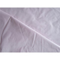 20d Nylon Taffeta Fabric for Down Coat (XSN009)