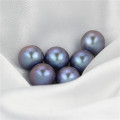 Snh Dye Color Gris Niza Perlas Perlas Perlas