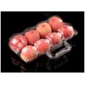 Einweg tragbare 8pack Apfel Obst Box