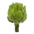 Artichoke extract 2.5%UV Artichoke Leaf P.E