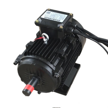 5 kW 60VDC 1800rpm Motor BLDC sans balais sans pinceau