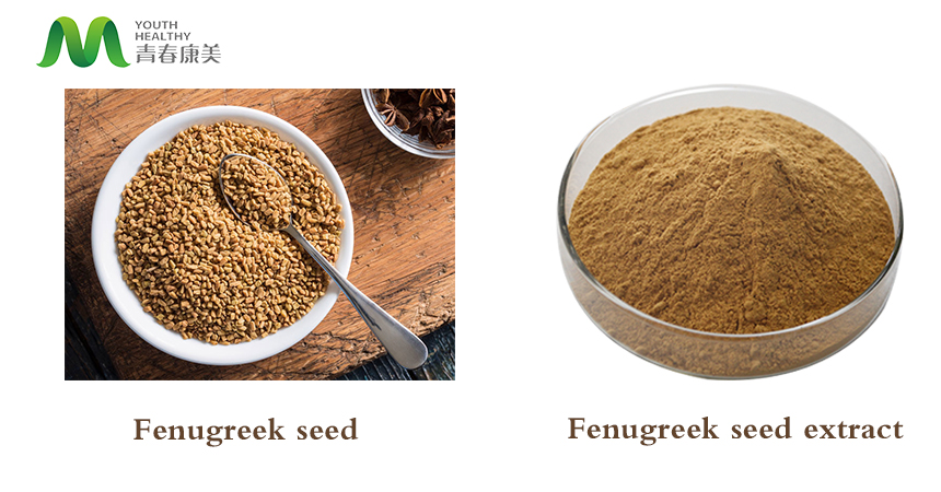 Fenugreek powder Fenugreek powder