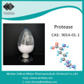 CAS: 9014-01-1 Factoty Поставка высокочистой кислотной протеазы