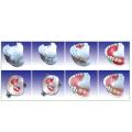 Dental dientes modelo de la producción de pasos de articulador