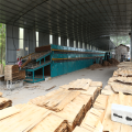 Environmental Biomass Veneer Drying Machine