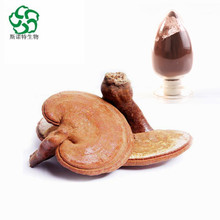 Extrait de champignons reishi 10% -30%