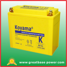 Good Quality Maintenance Free Motorcycle Battery 12V 22ah