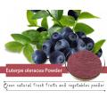 Acai berry extract powder food grade acai powder