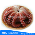 Frozen whole octopus iqf and dried octopus