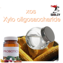 Präbiotischer Xylo-Oligosaccharidsirup 95%